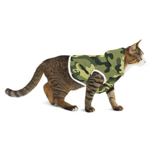 Cargar imagen en el visor de la galería, C-Star CAMO Pet Hoodie (Veggie)